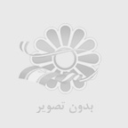 تحول دیجیتال شما، با نبض هوشمند مائده هوش مصنوعی